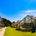 遠藤農園