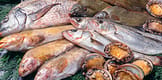 その他魚介･加工品