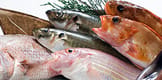 鮮魚詰め合わせ
