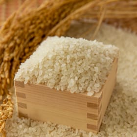 苗場プリンセス米　精米10ｋｇ（5ｋｇ×2）