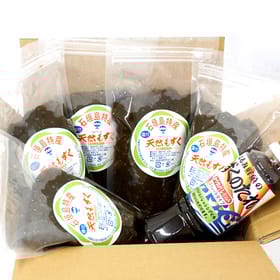 食べ方色々♪  塩漬け 天然石垣島もずく　たっぷり450g×5パック（もずくのタレ1本付) TS-2