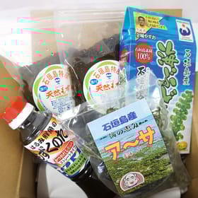 沖縄の海の恵み　3点セット（海ぶどう、もずく2パック、アーサ） もずくのタレ1本付