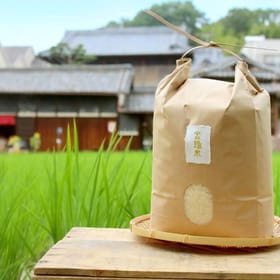 【金鵄米 /玄米/20kg】きんしまい2024年産：ヒノヒカリ