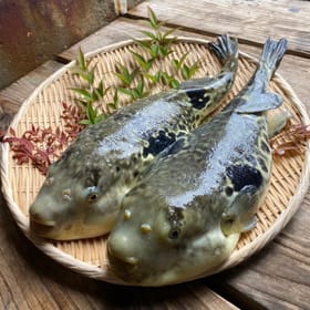 松永水産