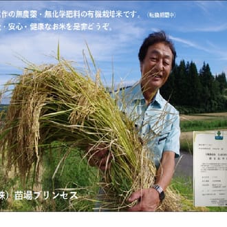 杵つき餅　有機ＪＡＳ認証米（転換期間中）4パックセット（白餅1・草餅1・豆餅１・玄米餅1）