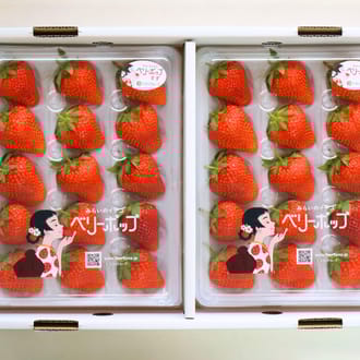 ベリーポップすず　12or15粒×2トレー