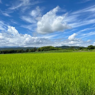 木曾路 山恵錦　生酛純米