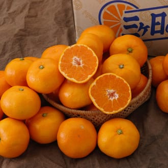 三ヶ日みかん 早生 約8kg