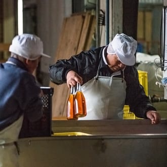 ちえびじん紅茶梅酒・ちえびじん純米吟醸酒・ちえびじん本格焼酎 各720ml×1本セット