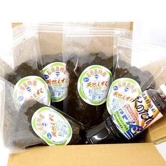 食べ方色々♪  塩漬け 天然石垣島もずく　たっぷり450g×5パック（もずくのタレ1本付) TS-2