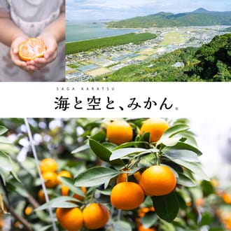 「果汁そのまま、100％」2種類のみかんジュース（麗紅と不知火）