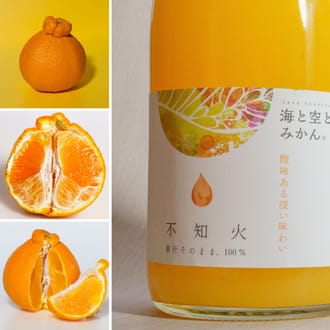 「果汁そのまま、100％」2種類のみかんジュース（麗紅と不知火）