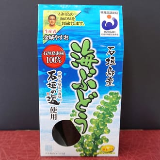 沖縄の海の恵み　3点セット（海ぶどう、もずく2パック、アーサ） もずくのタレ1本付