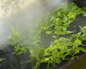 新茶ティーバッグ５袋 （2.5ｇ7包×５袋）静岡県産 有機茶100％