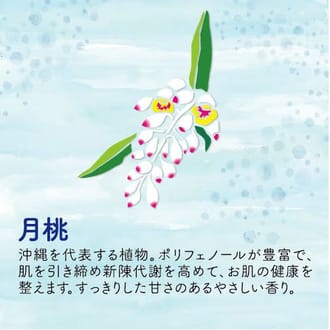 美ら肌ローション月桃ミニ30ml