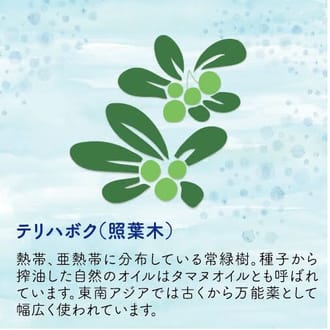 美ら肌ローション月桃化粧水100ml、30ml＆美ら肌オイル-タマヌ20ml　化粧水とオイルの3本セット