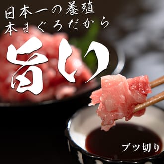 黒潮本まぐろ　ぶつ切り600ｇ