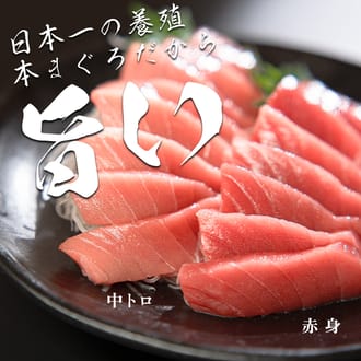 黒潮本まぐろ　赤身・中トロ 計900ｇ