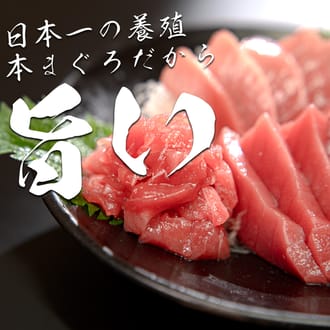 黒潮本まぐろ　赤身・中トロ・ぶつ切り 計1kｇ超