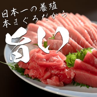 黒潮本まぐろ　赤身・中トロ・大トロ・ぶつ切り 計1.8kｇ