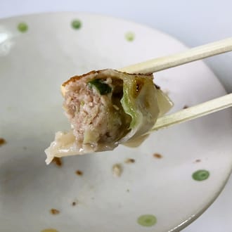 石垣島産アグー豚 冷凍生餃子 228g（12個）