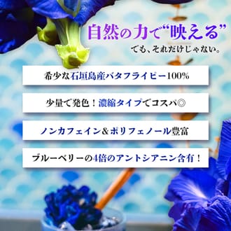 石垣島産100%濃縮バタフライピー　2本