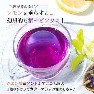 石垣島産100%濃縮バタフライピー　2本