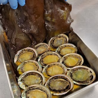 花巻温泉 佳松園謹製 三陸産あわびの柔らか煮 1個(殻付き130g)