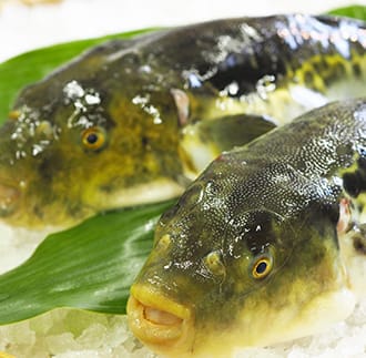 大分水産の豊後とらふぐ料理セット2人前【冷凍】