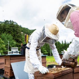 【ギフトセット】巣鴨養蜂園はちみつ「150g」3本