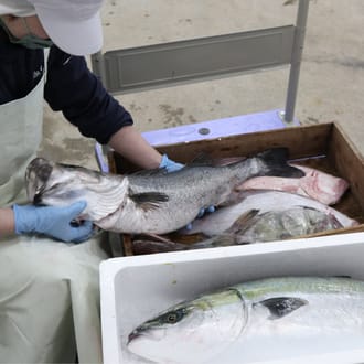 海鮮しゃぶしゃぶ　おまかせ旬魚3種盛り