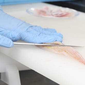 海鮮しゃぶしゃぶ　おまかせ旬魚3種盛り