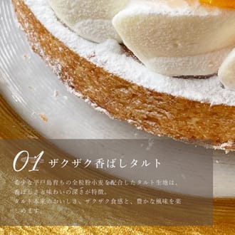 7種のフルーツチーズタルト18㎝