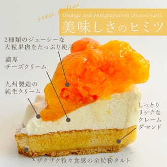 オレンジ＆ピンクグレープフルーツチーズタルト14㎝