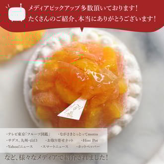 オレンジ＆ピンクグレープフルーツチーズタルト14㎝