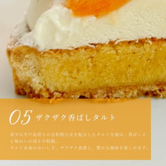 オレンジ＆ピンクグレープフルーツチーズタルト14㎝