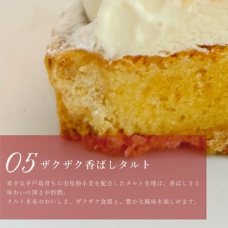ブルーベリー&ラズベリーチーズタルト18㎝