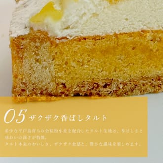 完熟パインチーズタルト14㎝
