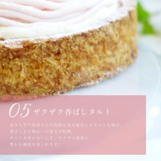 桜好きさんのためのさくらちーずたると14㎝