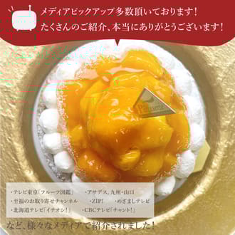 贅沢マンゴーチーズタルト18㎝