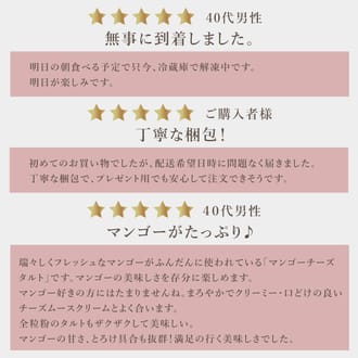 贅沢マンゴーチーズタルト18㎝