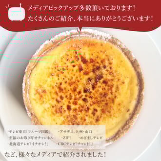 濃厚ケイジャーダチーズタルト15㎝