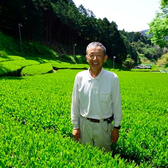 達志さんの煎茶ティーバッグ２袋（3ｇ30包入×2袋）
