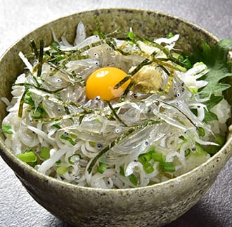 豊後別府湾生しらす 計500g（100g×5パック）