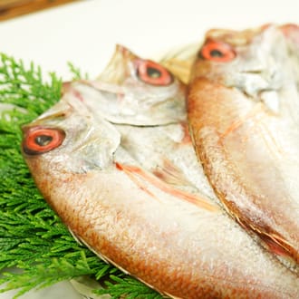 一晩干のどぐろ一夜干し（230～280ｇ）