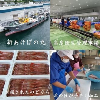 一晩干のどぐろ一夜干し（230～280ｇ）