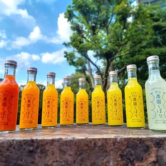 オレンジ農園の柑橘ジュース「農園しぼり」おまかせ5種 飲み比べ セット