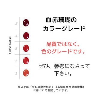 血赤珊瑚の枝のペンダント