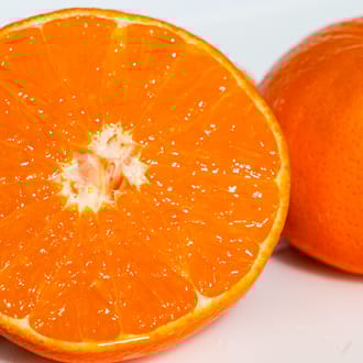 【2026年1•2月出荷】幸せ運ぶ甘いみかん麗紅（2.5kg）