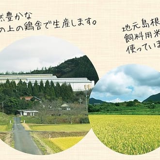 縁結びご挨拶セット（たまご入り）